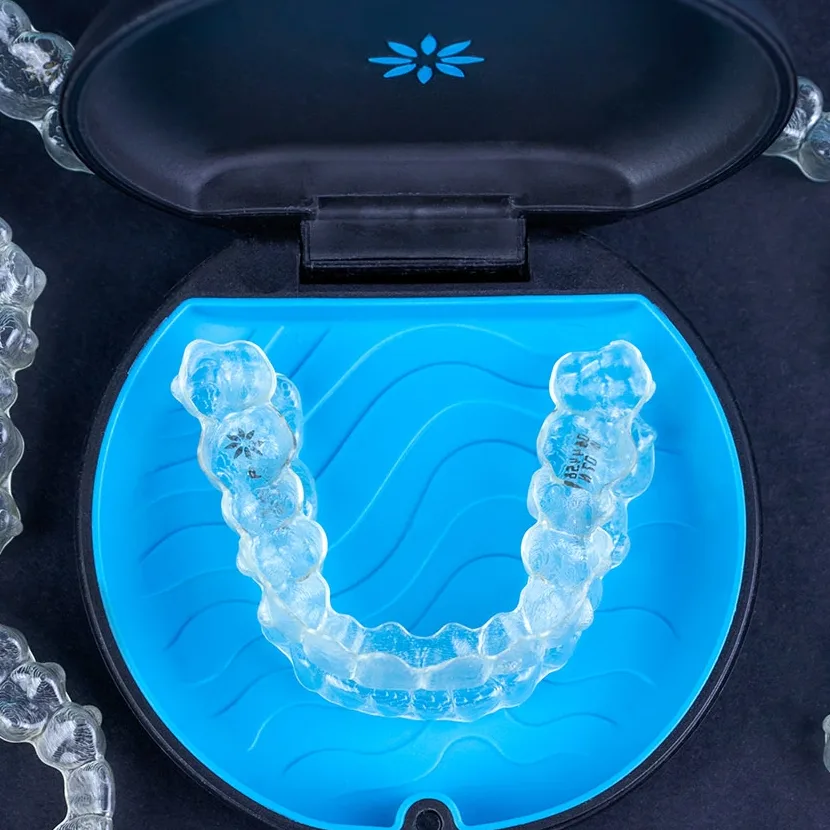 AdobeStock 42211423523123